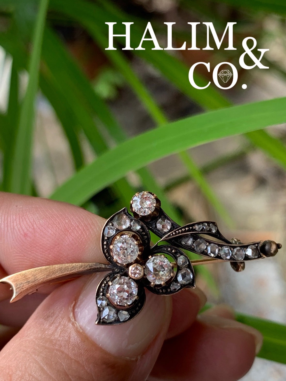Antique Old Mine Cut Diamond And Rose Cut Diamond Brooch.