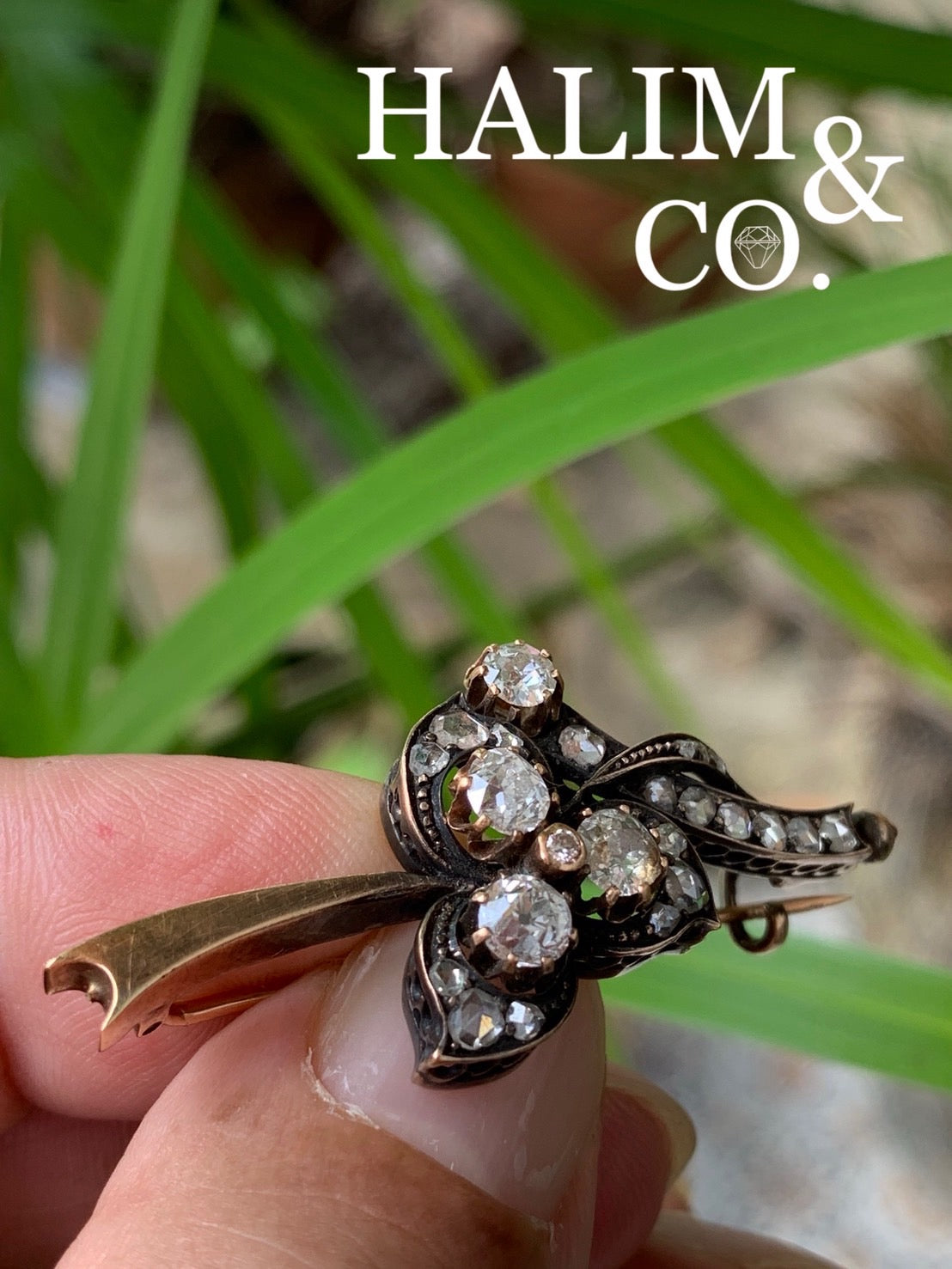 Antique Old Mine Cut Diamond And Rose Cut Diamond Brooch.