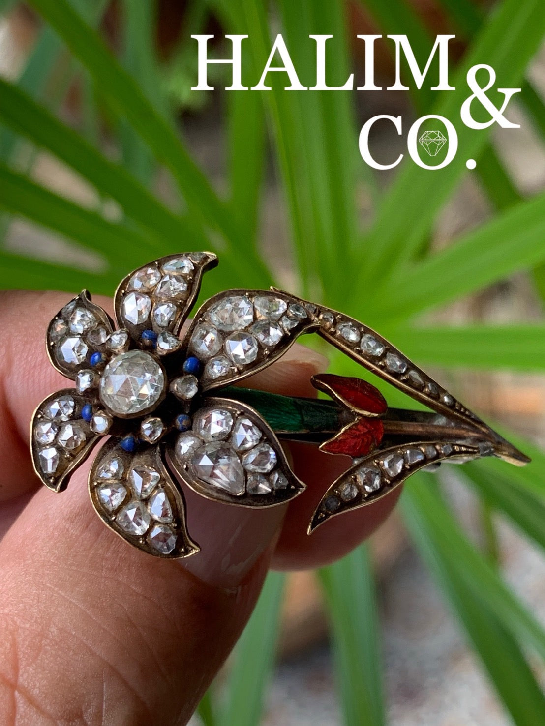 Antique Rose Cut Diamond Brooch.